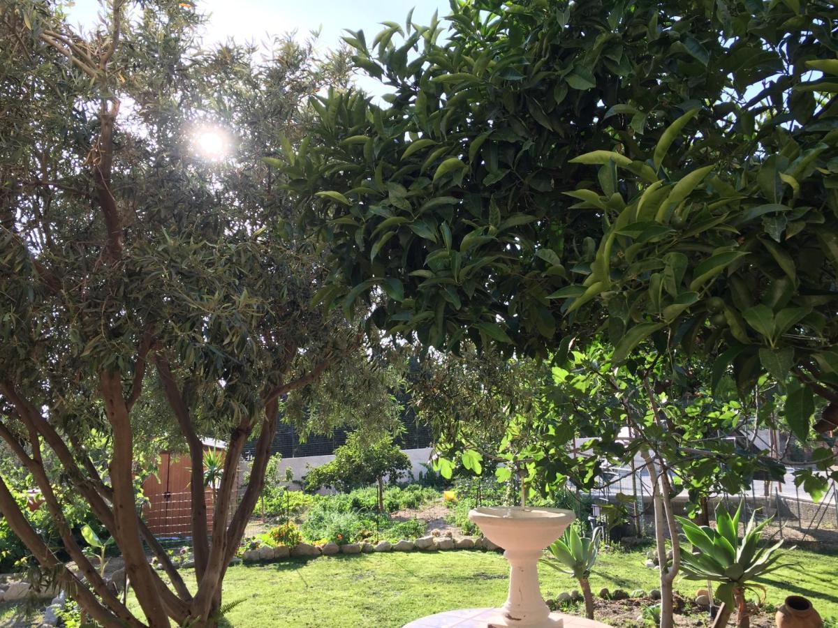 B&B Villa Magna Grecia Lazzaro Exteriér fotografie